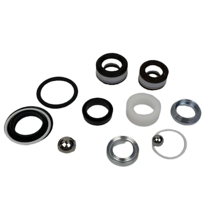Bedford Precision Parts Bedford Precision Repair Kit for 190ES, 190LTS, 210ES, 210LTS - Replacement for Graco 255-204 20-2858